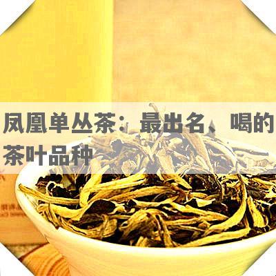 凤凰单丛茶：最出名、喝的茶叶品种