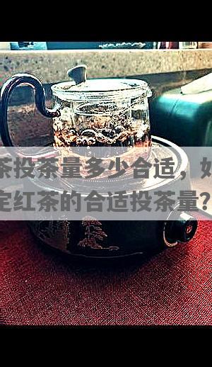红茶投茶量多少合适，如何确定红茶的合适投茶量？
