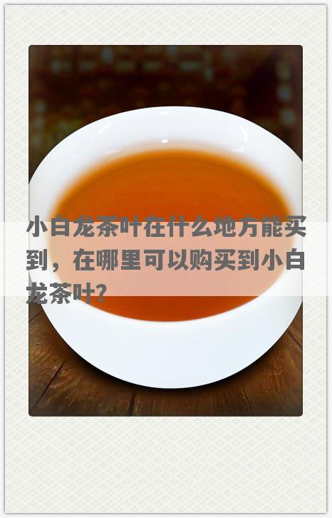 小白龙茶叶在什么地方能买到，在哪里可以购买到小白龙茶叶？