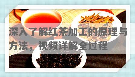 深入了解红茶加工的原理与 *** ，视频详解全过程