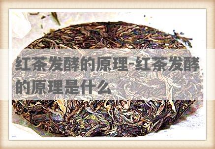 红茶发酵的原理-红茶发酵的原理是什么