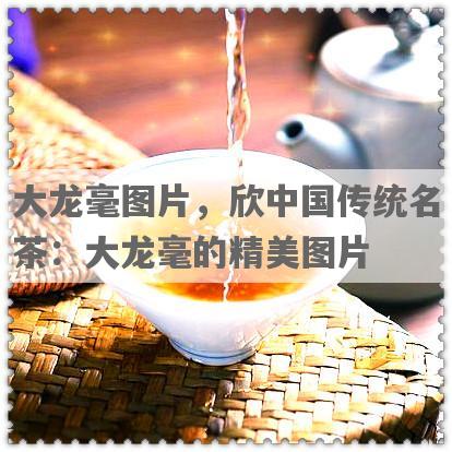 大龙毫图片，欣中国传统名茶：大龙毫的精美图片