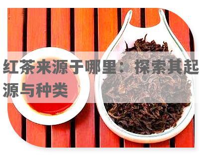 红茶来源于哪里：探索其起源与种类