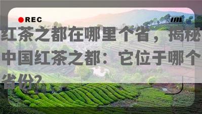 红茶之都在哪里个省，揭秘中国红茶之都：它位于哪个省份？