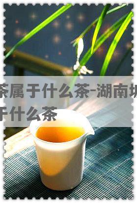坡茶属于什么茶-湖南坡茶属于什么茶