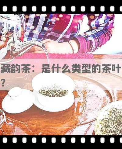 藏韵茶：是什么类型的茶叶？