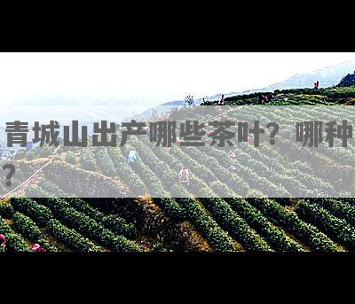 青城山出产哪些茶叶？哪种？