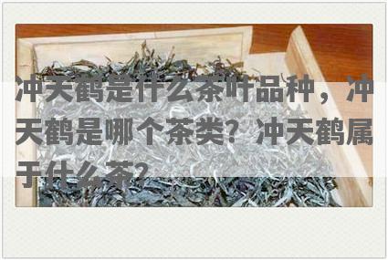 冲天鹤是什么茶叶品种，冲天鹤是哪个茶类？冲天鹤属于什么茶？
