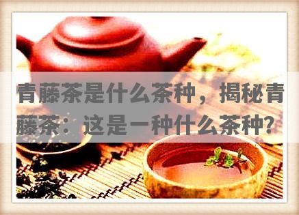 青藤茶是什么茶种，揭秘青藤茶：这是一种什么茶种？
