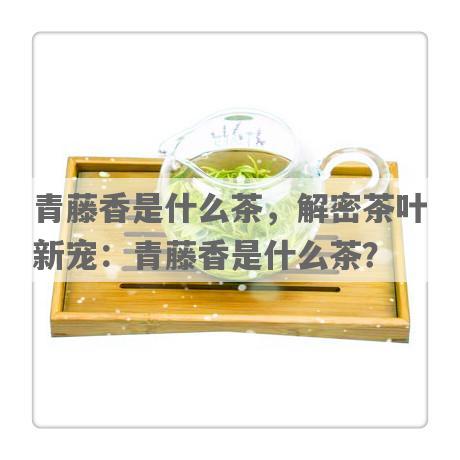 青藤香是什么茶，解密茶叶新宠：青藤香是什么茶？