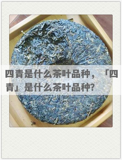 四青是什么茶叶品种，「四青」是什么茶叶品种？