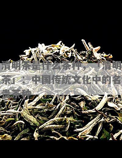 清明茶是什么茶种，「清明茶」：中国传统文化中的名贵茶种