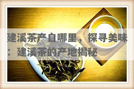 建溪茶产自哪里，探寻美味：建溪茶的产地揭秘