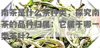 南茶是什么茶种类，探究南茶的品种归属：它属于哪一类茶叶？