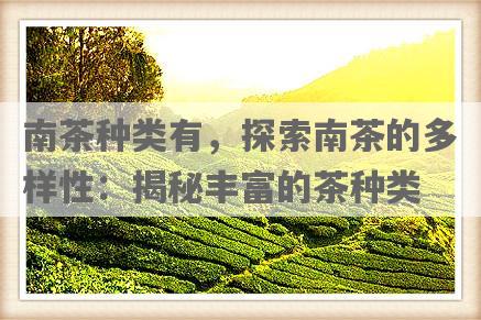 南茶种类有，探索南茶的多样性：揭秘丰富的茶种类