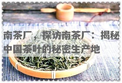 南茶厂，探访南茶厂：揭秘中国茶叶的秘密生产地