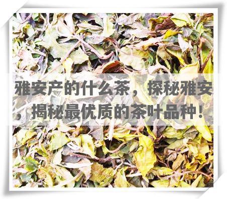 雅安产的什么茶，探秘雅安，揭秘更优质的茶叶品种！