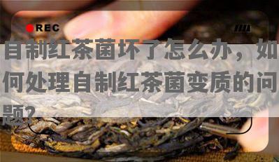 自制红茶菌坏了怎么办，如何处理自制红茶菌变质的问题？
