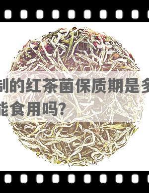 自制的红茶菌保质期是多久？能食用吗？