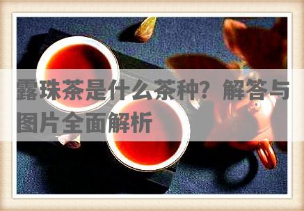 露珠茶是什么茶种？解答与图片全面解析