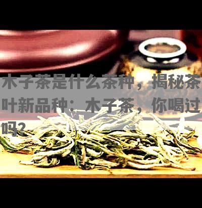 木子茶是什么茶种，揭秘茶叶新品种：木子茶，你喝过吗？