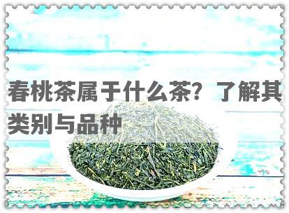 春桃茶属于什么茶？了解其类别与品种