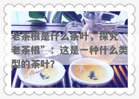 老茶根是什么茶叶，探究“老茶根”：这是一种什么类型的茶叶？