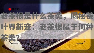 老茶根是什么茶类，揭秘茶叶界新宠：老茶根属于何种茶类？