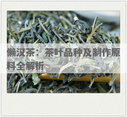 懒汉茶：茶叶品种及制作原料全解析