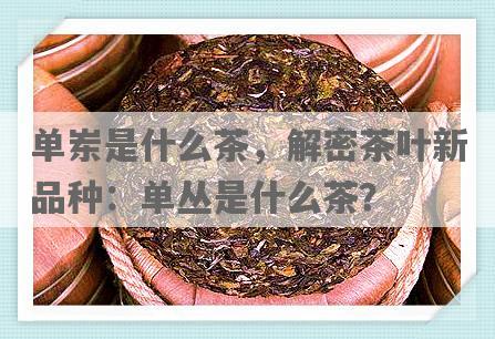 单岽是什么茶，解密茶叶新品种：单丛是什么茶？
