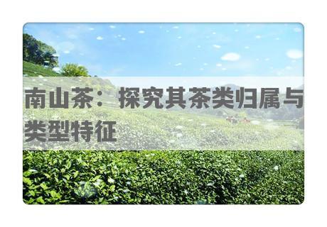 南山茶：探究其茶类归属与类型特征