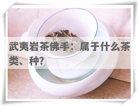 武夷岩茶佛手：属于什么茶类、种？