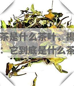 神仙茶是什么茶叶，揭秘神仙茶：它到底是什么茶叶？