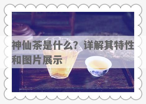 神仙茶是什么？详解其特性和图片展示