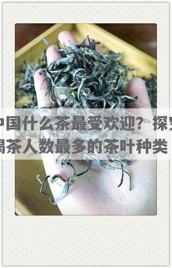 中国什么茶更受欢迎？探究喝茶人数最多的茶叶种类