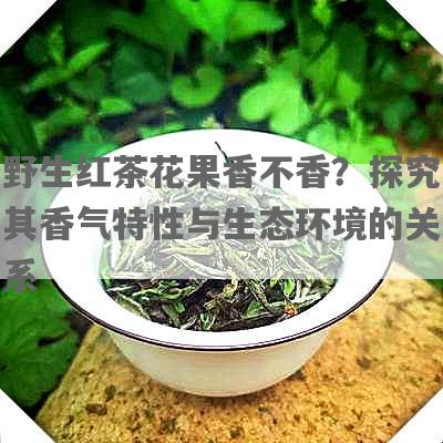 野生红茶花果香不香？探究其香气特性与生态环境的关系