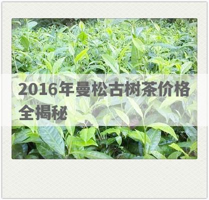 2016年曼松古树茶价格全揭秘