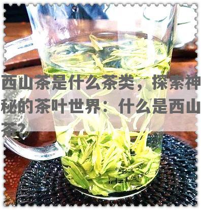 西山茶是什么茶类，探索神秘的茶叶世界：什么是西山茶？
