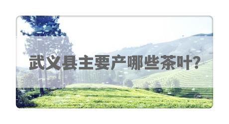 武义县主要产哪些茶叶？