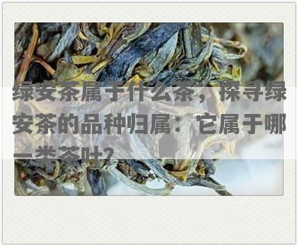 绿安茶属于什么茶，探寻绿安茶的品种归属：它属于哪一类茶叶？