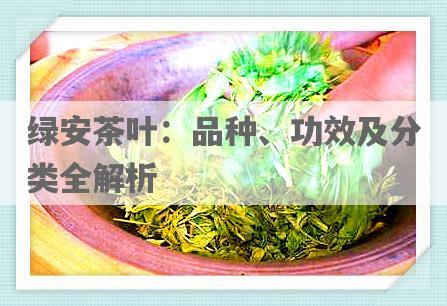绿安茶叶：品种、功效及分类全解析