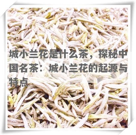 城小兰花是什么茶，探秘中国名茶：城小兰花的起源与特点