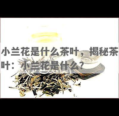 小兰花是什么茶叶，揭秘茶叶：小兰花是什么？