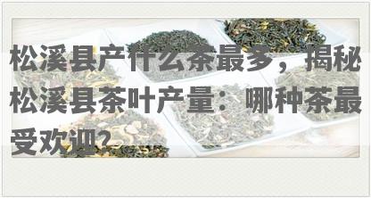 松溪县产什么茶最多，揭秘松溪县茶叶产量：哪种茶更受欢迎？