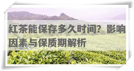 红茶能保存多久时间？影响因素与保质期解析