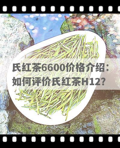 氏红茶6600价格介绍：如何评价氏红茶H12？