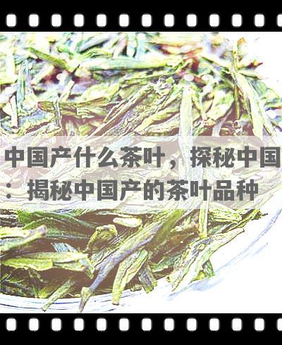 中国产什么茶叶，探秘中国：揭秘中国产的茶叶品种