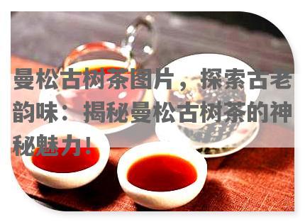 曼松古树茶图片，探索古老韵味：揭秘曼松古树茶的神秘魅力！