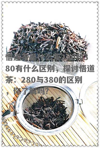 悟道茶是什么茶280和380有什么区别，探讨悟道茶：280与380的区别，你了解吗？