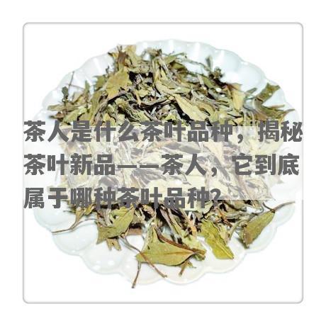 茶人是什么茶叶品种，揭秘茶叶新品——茶人，它到底属于哪种茶叶品种？